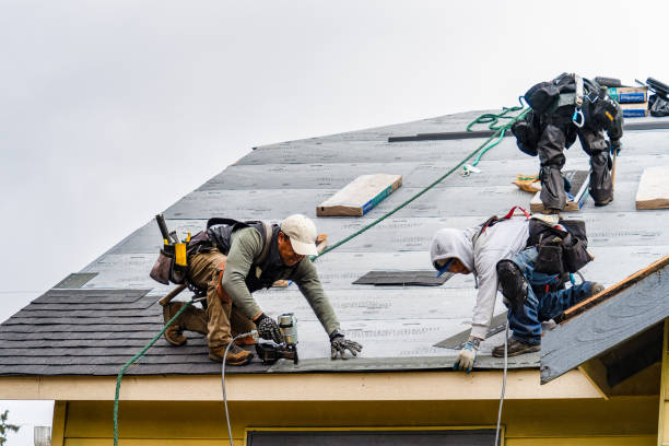 Professional Roof Replacement technician working in Maysville, OK